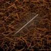 Needle in Haystack