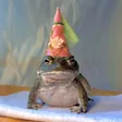 Billetera frog wif hat