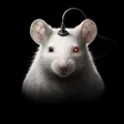 The Rat Formula Wallet