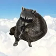 Dompet a smoking meth raccoon