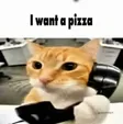 catcall Wallet