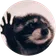 Pedro