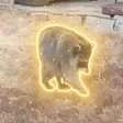 Danny DeVito 钱包