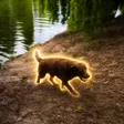 Sisyphean Dog 錢包