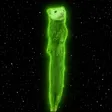 Кошелек The Green Candle