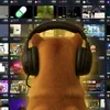 in a streamers world
