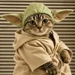 Billetera The Yoda Cat