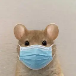 mask
