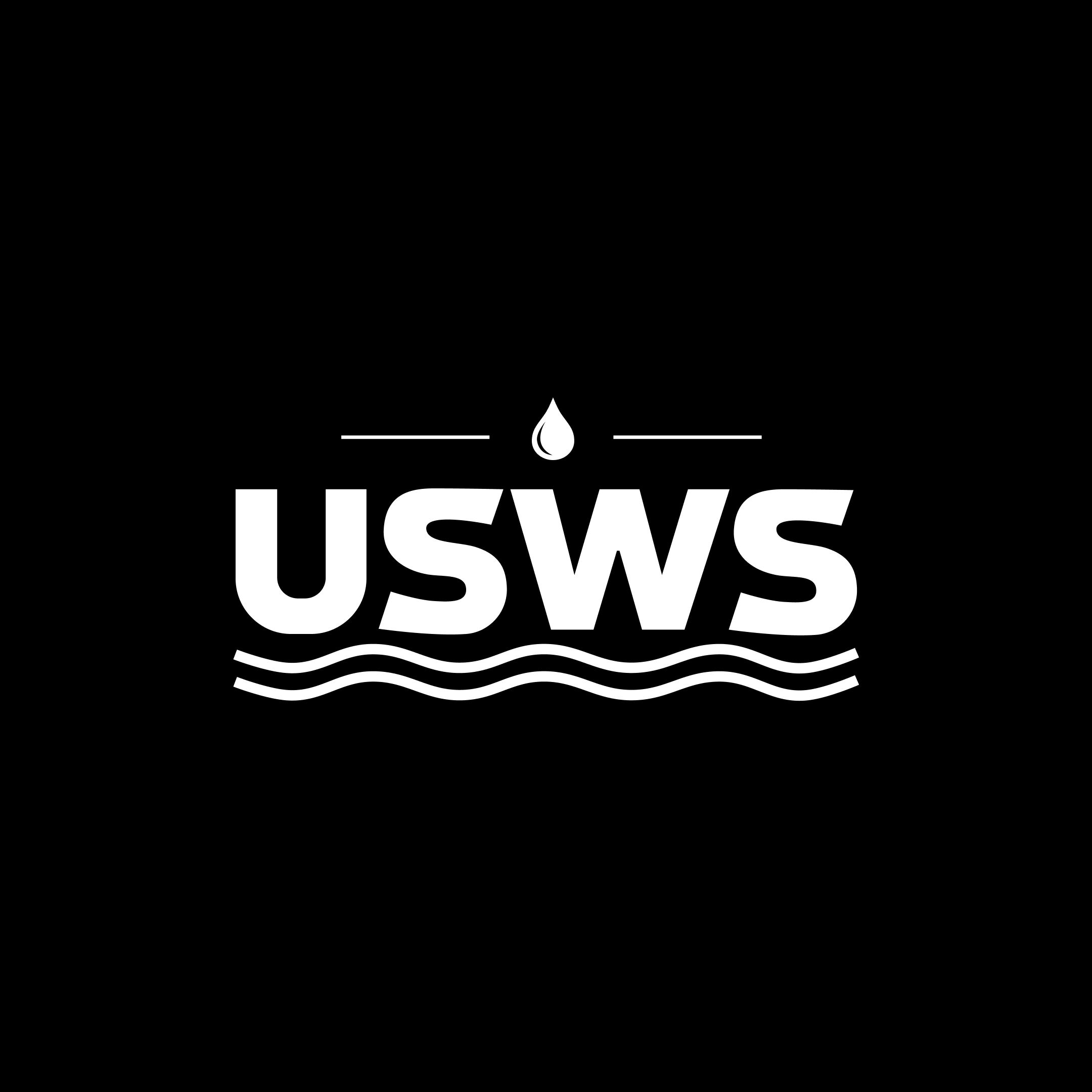 USWS token on Solana