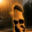 Кошелек Pawblo Pawcasso
