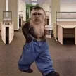 Wage Monkey 钱包