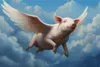 Flying Pig