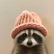 Carteira Jimothy Wif Hat
