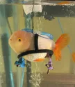 Carteira The Wheelchair Fish