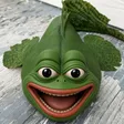 Toadfish Wallet