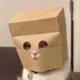 ZCAT