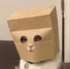 ZCAT