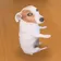 SDOG