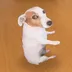 SDOG