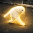 The Half Cat 钱包