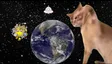 ‌Ví world slapping cat