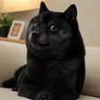 Кошелек The black doge