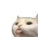 :p