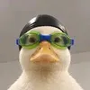 Nasduck