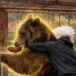 Балу 钱包