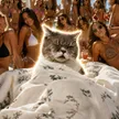 The Fapping Cat 錢包