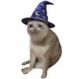 Wizard Cat Wallet