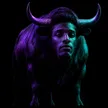 The Solana Bull ওয়ালেট