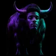 The Solana Bull वॉलेट