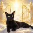 Кошелек Justice for Chibbi