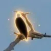 SpaceX Eagle