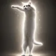 long cat-Wallet