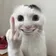 红尘飞