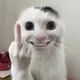 红尘飞