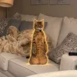 محفظة The Standing Cat
