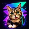 Lil BUB 钱包