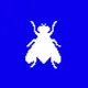 FLY