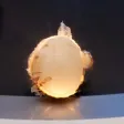 Dompet The Resilient Onion