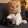 CATPERAZZI