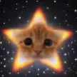 Starcat Wallet