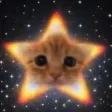 Starcat Wallet