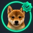 Verified Dog Wallet