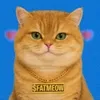 BIG FAT CAT