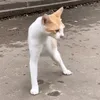 The Resilient Mother