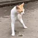 RESILIENCE