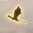‌Ví The Flying Dragon